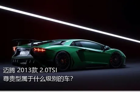 迈腾 2013款 2.0TSI 尊贵型属于什么级别的车？