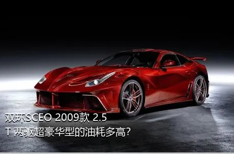 双环SCEO 2009款 2.5T 两驱超豪华型的油耗多高？