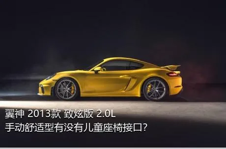 翼神 2013款 致炫版 2.0L 手动舒适型有没有儿童座椅接口？