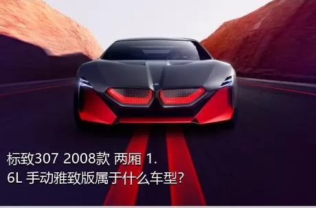 标致307 2008款 两厢 1.6L 手动雅致版属于什么车型？