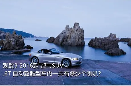 观致3 2016款 都市SUV 1.6T 自动致酷型车内一共有多少个喇叭？