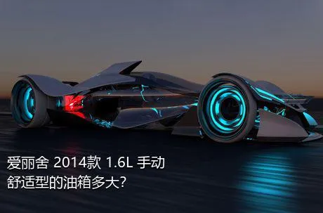 爱丽舍 2014款 1.6L 手动舒适型的油箱多大？