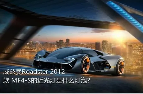 威兹曼Roadster 2012款 MF4-S的近光灯是什么灯泡？