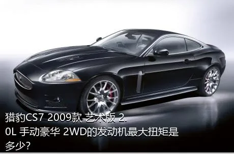 猎豹CS7 2009款 艺术版 2.0L 手动豪华 2WD的发动机最大扭矩是多少？