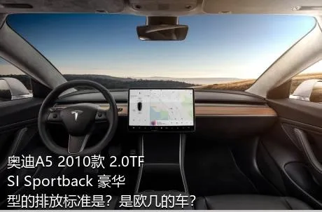 奥迪A5 2010款 2.0TFSI Sportback 豪华型的排放标准是？是欧几的车？