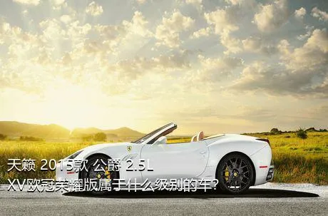 天籁 2015款 公爵 2.5L XV欧冠荣耀版属于什么级别的车？