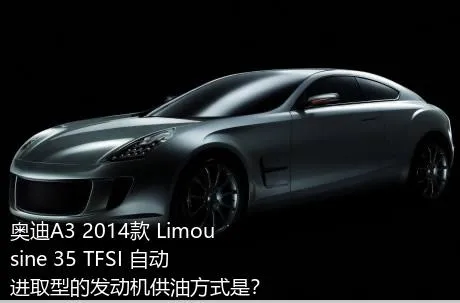 奥迪A3 2014款 Limousine 35 TFSI 自动进取型的发动机供油方式是？