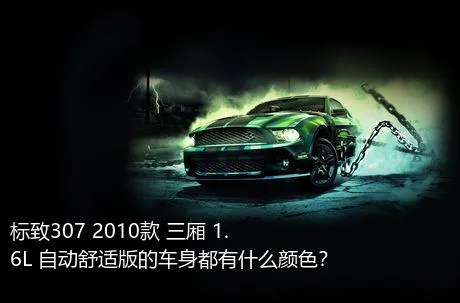 标致307 2010款 三厢 1.6L 自动舒适版的车身都有什么颜色？