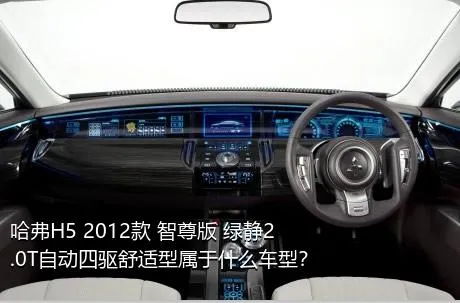 哈弗H5 2012款 智尊版 绿静2.0T自动四驱舒适型属于什么车型？