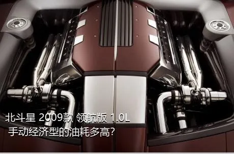 北斗星 2009款 领航版 1.0L 手动经济型的油耗多高？