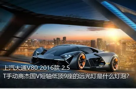 上汽大通V80 2016款 2.5T手动商杰国V短轴低顶9座的远光灯是什么灯泡？