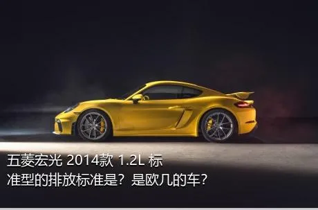 五菱宏光 2014款 1.2L 标准型的排放标准是？是欧几的车？