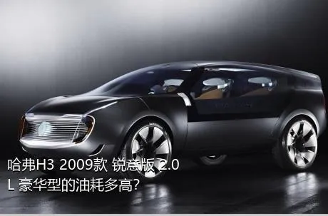 哈弗H3 2009款 锐意版 2.0L 豪华型的油耗多高？