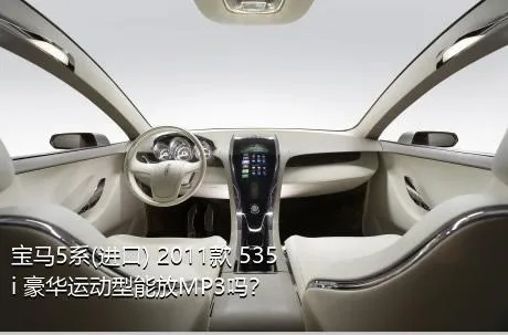 宝马5系(进口) 2011款 535i 豪华运动型能放MP3吗？