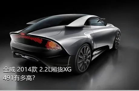 金威 2014款 2.2L厢货XG491有多高？