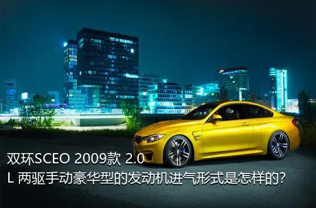 双环SCEO 2009款 2.0L 两驱手动豪华型的发动机进气形式是怎样的？