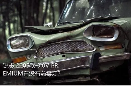 锐志 2005款 3.0V PREMIUM有没有前雾灯？