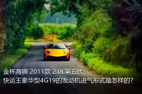 金杯海狮 2011款 2.0L第五代快运王豪华型4G19的发动机进气形式是怎样的？