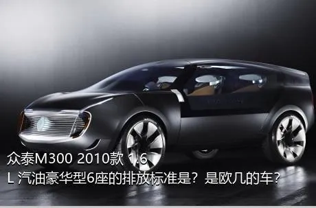 众泰M300 2010款 1.6L 汽油豪华型6座的排放标准是？是欧几的车？