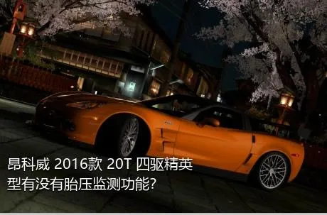 昂科威 2016款 20T 四驱精英型有没有胎压监测功能？