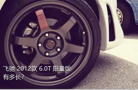 飞驰 2012款 6.0T 限量版有多长？