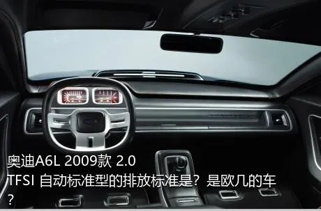 奥迪A6L 2009款 2.0 TFSI 自动标准型的排放标准是？是欧几的车？