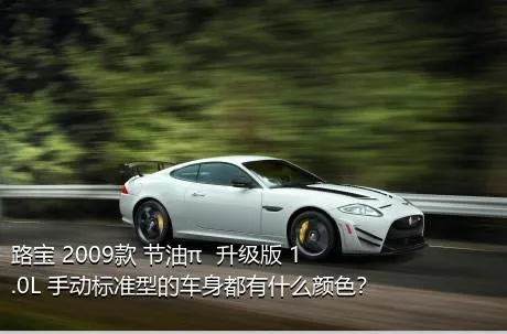 路宝 2009款 节油π  升级版 1.0L 手动标准型的车身都有什么颜色？