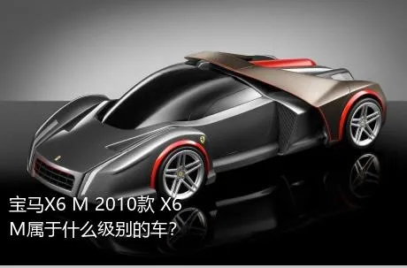 宝马X6 M 2010款 X6 M属于什么级别的车？