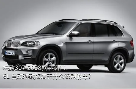 标致307 2008款 两厢 1.6L 自动雅致版属于什么级别的车？