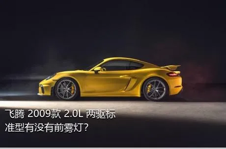 飞腾 2009款 2.0L 两驱标准型有没有前雾灯？