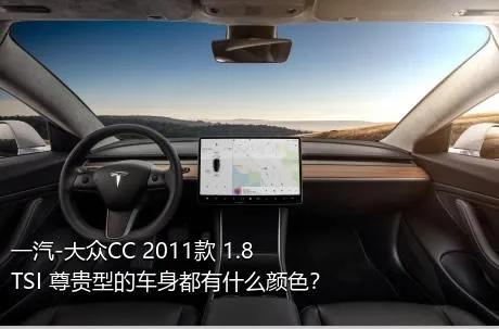 一汽-大众CC 2011款 1.8TSI 尊贵型的车身都有什么颜色？