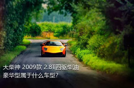 大柴神 2009款 2.8T四驱柴油豪华型属于什么车型？