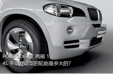 POLO 2004款 两厢 1.4L 手动舒适型的轮胎是多大的？