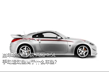 嘉年华 2009款 两厢 1.5L 手动运动型属于什么车型？