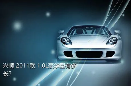 兴顺 2011款 1.0L豪华型有多长？