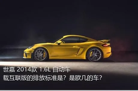 世嘉 2014款 1.6L 自动车载互联版的排放标准是？是欧几的车？