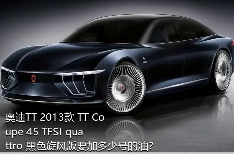 奥迪TT 2013款 TT Coupe 45 TFSI quattro 黑色旋风版要加多少号的油？