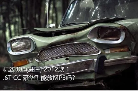 标致308(进口) 2012款 1.6T CC 豪华型能放MP3吗？