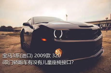 宝马3系(进口) 2009款 320i双门轿跑车有没有儿童座椅接口？