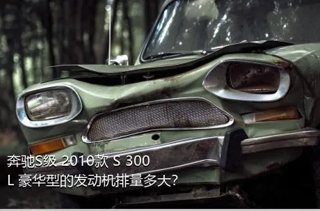 奔驰S级 2010款 S 300 L 豪华型的发动机排量多大？