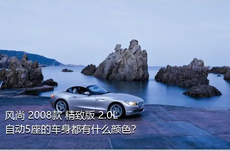 风尚 2008款 精致版 2.0L 自动5座的车身都有什么颜色？