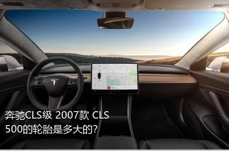 奔驰CLS级 2007款 CLS 500的轮胎是多大的？