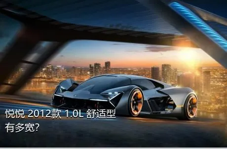 悦悦 2012款 1.0L 舒适型有多宽？