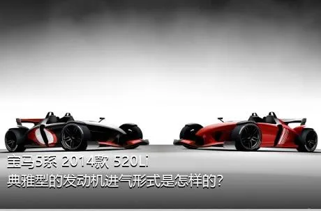 宝马5系 2014款 520Li 典雅型的发动机进气形式是怎样的？