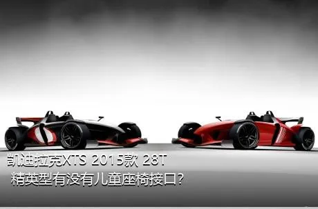 凯迪拉克XTS 2015款 28T 精英型有没有儿童座椅接口？