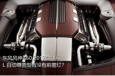 东风风神A60 2012款 1.6L 自动尊贵型有没有前雾灯？