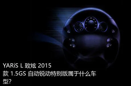 YARiS L 致炫 2015款 1.5GS 自动锐动特别版属于什么车型？