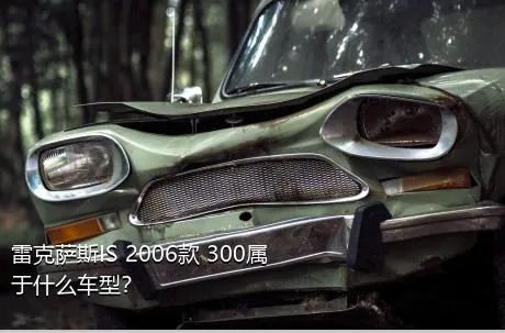 雷克萨斯IS 2006款 300属于什么车型？