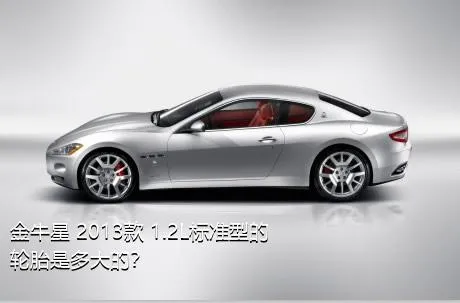 金牛星 2013款 1.2L标准型的轮胎是多大的？