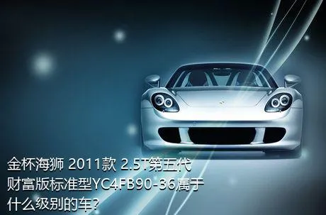 金杯海狮 2011款 2.5T第五代财富版标准型YC4FB90-36属于什么级别的车？